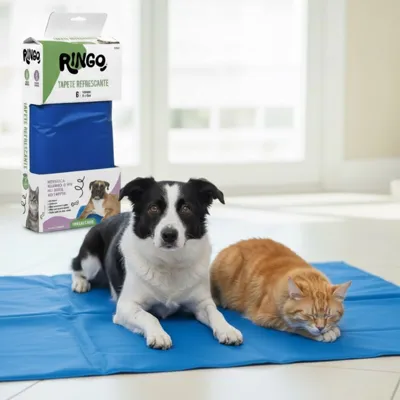 Foto do anúncio: TAPETE GELADO COLCHONETE REFRESCANTE PARA CACHORRO GATO - NAPI ou Ringo