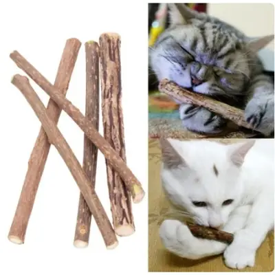 Foto do anúncio: Vara Graveto Erva Do Gato Catnip Matatabi Limpa Deixa o Pet Feliz