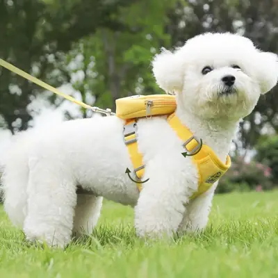 Foto do anúncio: Peitoral Coleira Com Guia e Bolsa Removível Para Cachorro Pet Cães
