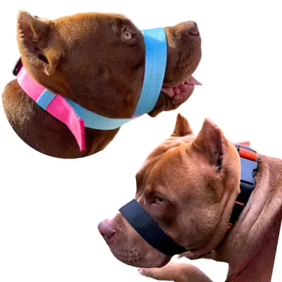 Foto do anúncio: A Melhor Focinheira Do Mercado Pet Para Cachorro Cão Pitbull