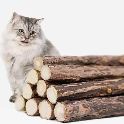 Foto do anúncio: 15 Unidades Matatabi Varas De Catnip Limpa Dentes Anti Stres Brinquedo