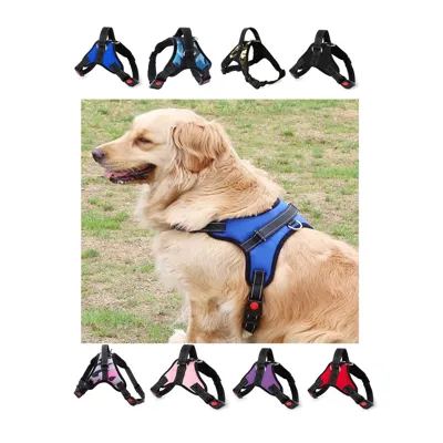 Foto do anúncio: Coleira Peitoral para Cachorros - Resistente, Reforçada e Segura - Cães de pequeno e Grande porte