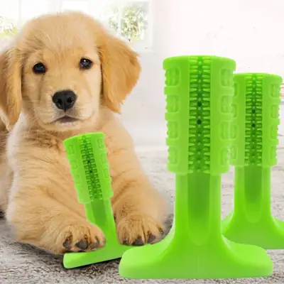 Foto do anúncio: Escova de Dente Brinquedo Interativo Mordedor Cachorro Pet Massageador Higienizador Dental Tártaro