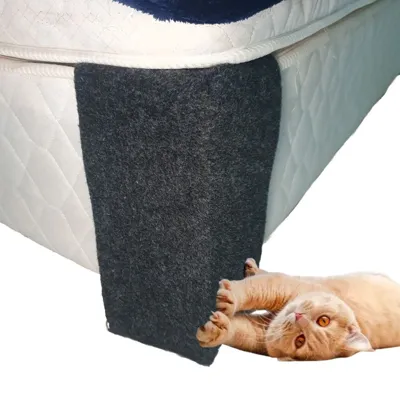 Foto do anúncio: Arranhador para Gato Canto Cama Pet Box Resinado Gatinho