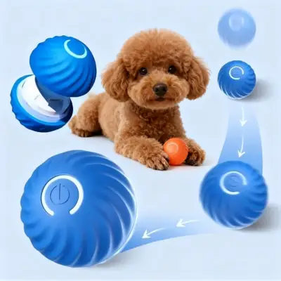 Foto do anúncio: Bolinha Eletrônica Para Cachorro Brincar Movimento Automatico