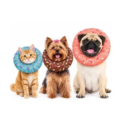 Foto do anúncio: Colar Elizabetano Almofadado Donuts para Gatos e Caes
