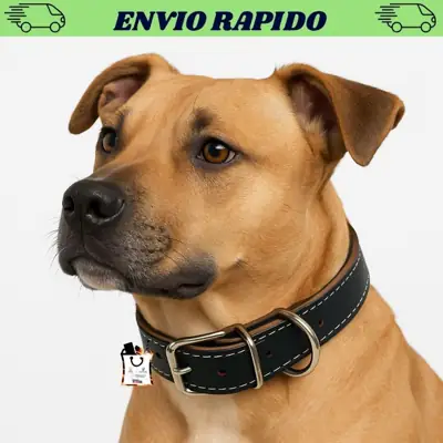 Foto do anúncio: Coleira Cachorro Grande Couro Reforçado Com Ajuste