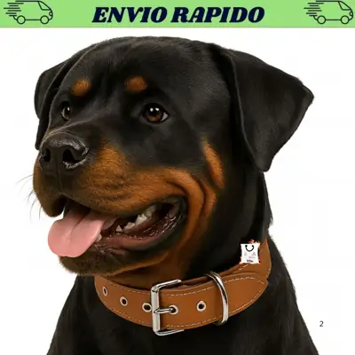 Foto do anúncio: Coleira Para Cachorro Pitbull Rotweiller Cães de Medio e Grande Porte