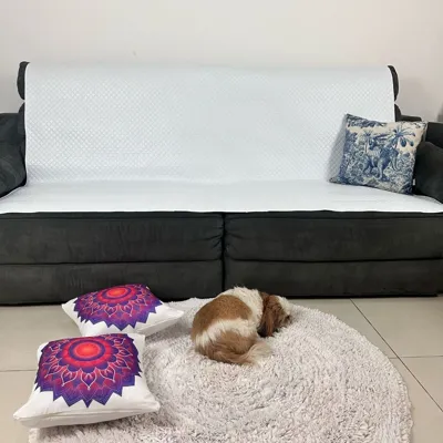 Foto do anúncio: Protetor de Sofá Pet 100% Impermeável 200cm X 140cm