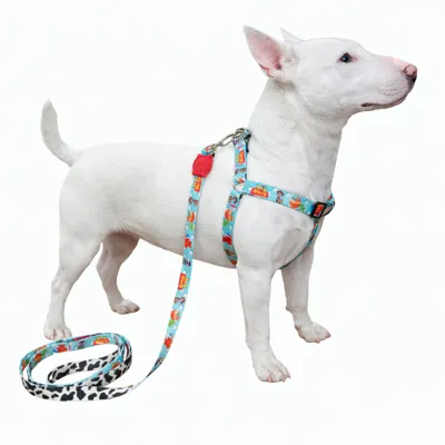 Foto do anúncio: Coleira Peitoral para Cachorro de Personagens Pequenos e Médios com Guia Para Pet Colete