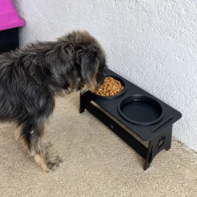 Foto do anúncio: Comedouro  Cachorro e Gato Elevado em MDF  Design com Patinhas Potes Plastico