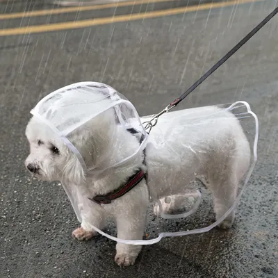 Foto do anúncio: Capa de Chuva Pet Impermeável Proteção Cachorro Grande Médio Pequeno Porte Passeio Chuva  VIDA