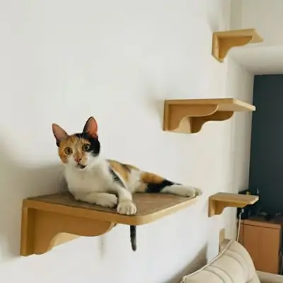Foto do anúncio: Parque Gato REFORÇADO 4pçs Prateleiras Com Carpete Antiderrapante Já