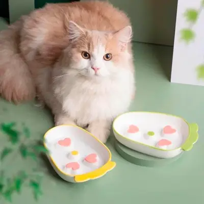 Foto do anúncio: Comedouro Tigela para gatos Cães Cerâmica Lento Labirinto Ansiedade