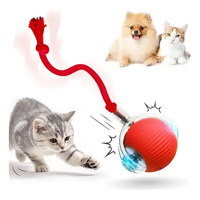 Foto do anúncio: Bola Brinquedos com Cauda De Rolamento Automático Do Falso Recarregável