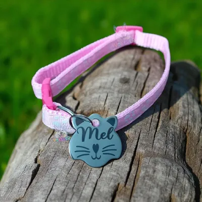 Foto do anúncio: Coleira com Nome Cachorro Gato Personalizada Coleira para Gato Plaquinha (Gravamos)