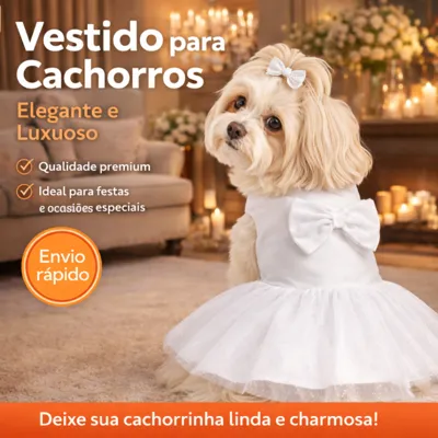 Foto do anúncio: Vestido Pet Femea Encantado Branco Luxo para Casamentos e Festas