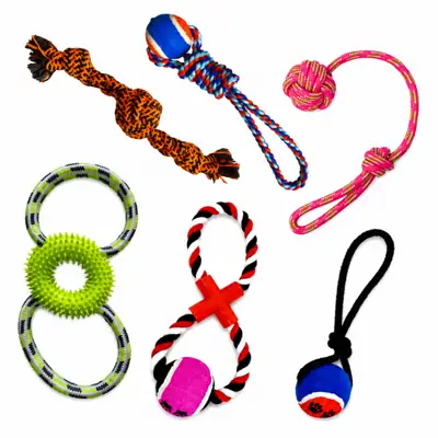 Foto do anúncio: Kit 5 Brinquedos para Cachorro com Cordas Sortidas Brinquedos para Cães
