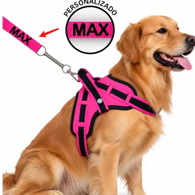 Foto do anúncio: coleira Guia para cachorro nome personalizado coleira peitoral conforto peiteira sistema amortecedor impacto regulage