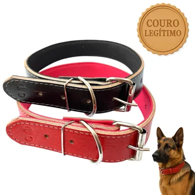 Foto do anúncio: Coleira para Cachorro Reforçada Couro Legítimo Forrada Ajustável Todos os Portes