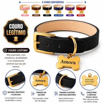 Foto do anúncio: Coleira Couro Legitimo com osso Dourado Tag Plaquinha Identificação