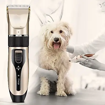 Foto do anúncio: Máquina Para Tosar Cachorro Profissional Pet De Corte Cabelo Tosador