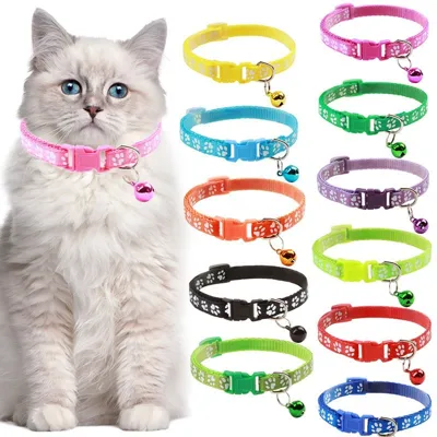 Foto do anúncio: Coleira Teddy Ajustável Universal para Cães e Gatos com Sino