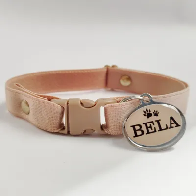 Foto do anúncio: Coleira Elástica para Gato com Plaquinha de Identificação Personalizada Leve Confortável e