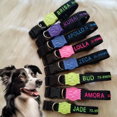 Foto do anúncio: Coleira para Cachorro com Nome e telefone Personalizada Bordado Acessórios para o Pescoço Colar de Identificação Pet