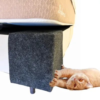 Foto do anúncio: Arranhador Para Gato Canto Cama Box 30x25 Pet Protetor