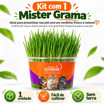 Foto do anúncio: Grama para Gato Mister Fácil de Plantar e Ajuda NAS