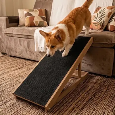 Foto do anúncio: Rampa Pet Madeira MDF Antiderrapante Cães Gatos Resistente Para Cama Sofá