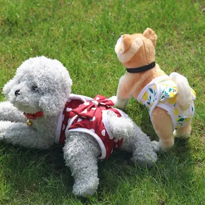 Foto do anúncio: Fêmea Calça Fisiológica Cachorro Roupa De Fraldas Bowknot Breathable