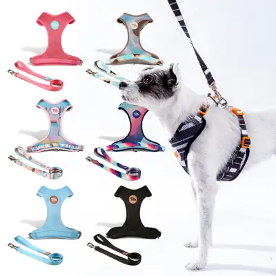 Foto do anúncio: Peitoral e Guia Mesh H Para Cachorro de Todos os Portes e Raças Peitoral Transpirável Marca Toh