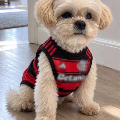 Foto do anúncio: Roupa Pet Vermelho e Preta para Cachorro Pequeno e Grande Porte Camiseta Premium