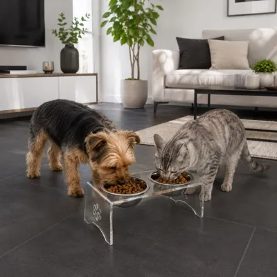 Foto do anúncio: Comedouro e Bebedouro Acrílico Com Tigelas Inox p/ Cão e Gato