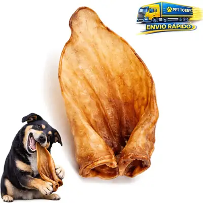 Foto do anúncio: Orelha Bovina 100% Natural Comestivel Para Cachorros Petisco