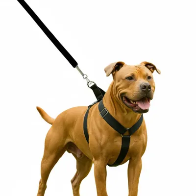 Foto do anúncio: Coleira Peitoral Reforçada Para Cães Médios e Grandes Pit Bull Guia Segura e Ajustável Antipuxão