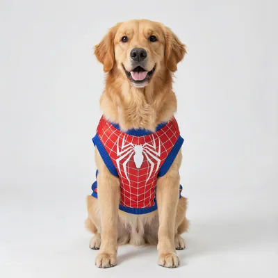 Foto do anúncio: Roupa Pet Homem-Aranha para Cachorro e Gato Camiseta Premium