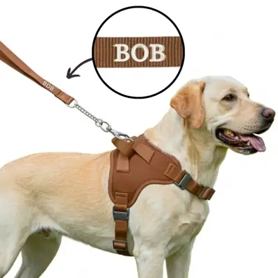 Foto do anúncio: Coleira Pet Personalizada com Nome Peitoral para Cachorros Grandes