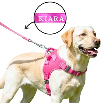 Foto do anúncio: Peitoral Coleira com Nome para Cachorros Grandes Personalizado Guia de Passeio Pet