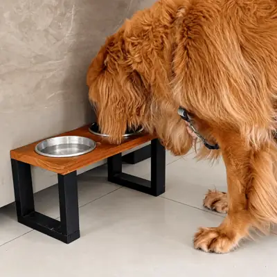 Foto do anúncio: Comedor Alimentador Cachorro Gato Duas Tigelas Alumínio Pintura