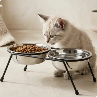Foto do anúncio: Comedouro Duplo Bebedouro Elevado Fixo Cães Cachorro Filhotes Gatos