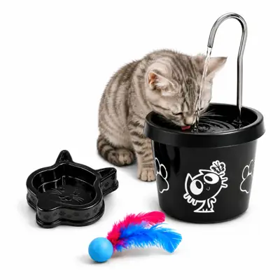 Foto do anúncio: Bebedouro Para Gatos Fonte com Comedouro e Peteca