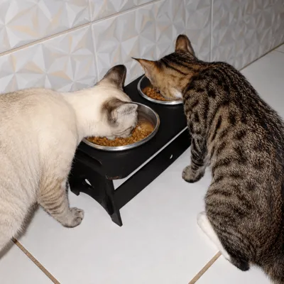 Foto do anúncio: Kit Comedouro Cachorro Gatos Cães Duplo Alumínio Pet Base Mdf Pote Alimentador