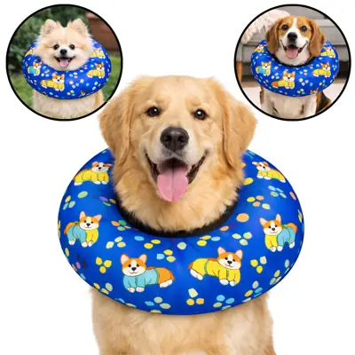 Foto do anúncio: Colar Elizabetano Cone de Cachorros Gatos Cervical Elizabetano Disco