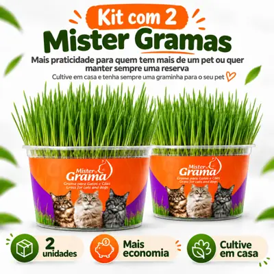 Foto do anúncio: 2 UNI de Grama para Gato Mister Fácil de Plantar e Ajuda NAS