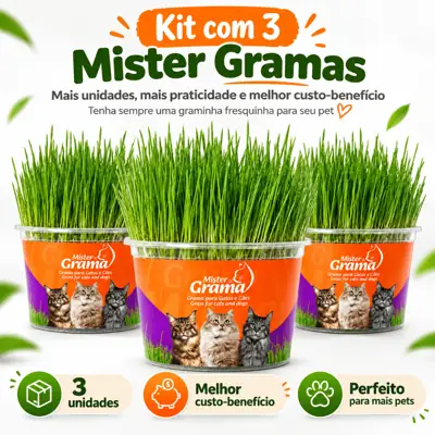 Foto do anúncio: 3 UNI de Grama para Gato Mister Fácil de Plantar e Ajuda NAS