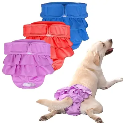 Foto do anúncio: Calça Fisiológica Para Cachorro À Prova D'água Reutilizável