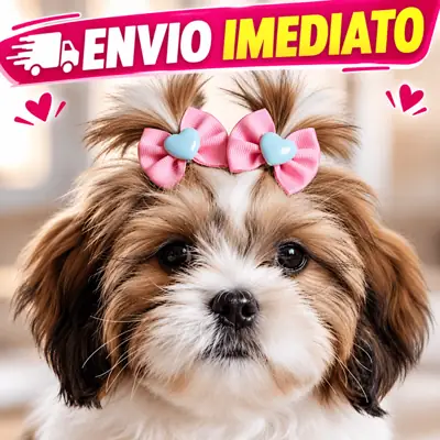 Foto do anúncio: Kit 100/40/20 Laços Pet Lacinho Borboleta de Cetim e Gorgorão Cachorro